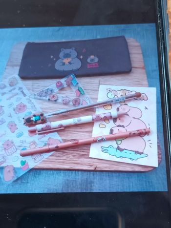 Trousse Capybara et ses accessoires