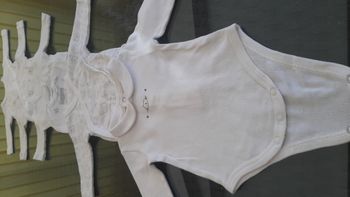Lot de 5 bodies INFLUX et CADET ROUSSELLE