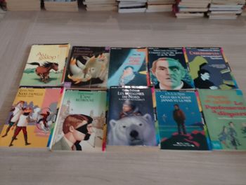 Lot de 10 livres de poches divers (11)
