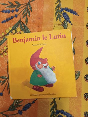 Livre Benjamin le lutin