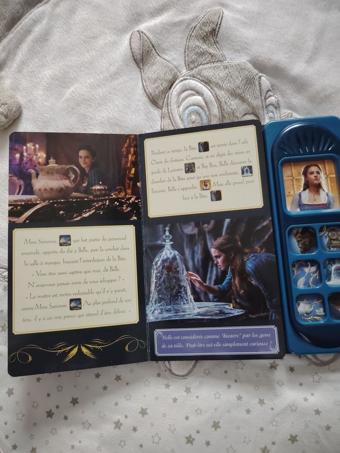 Livre la belle et la bête - photo numéro 4