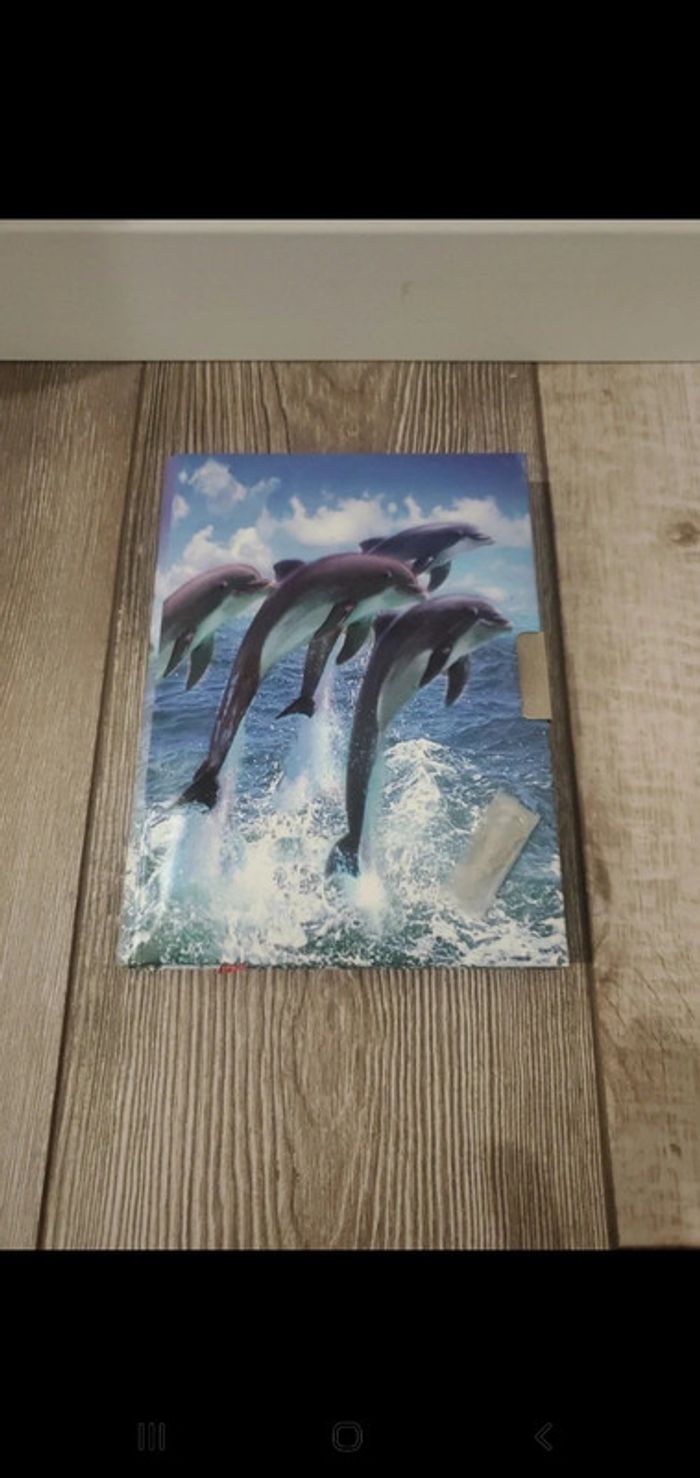 Journal dauphins avec clefs - 18 x 13 - photo numéro 2