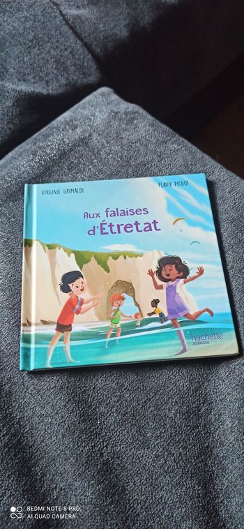Livre aux falaises d Étretat