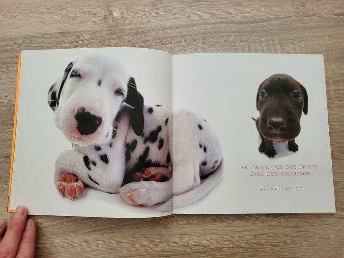 Livre des grosses truffes - photo numéro 2