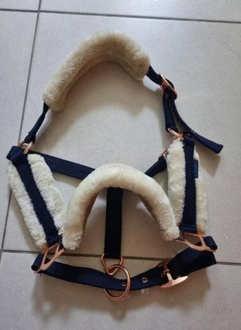 Licol marine & rose gold