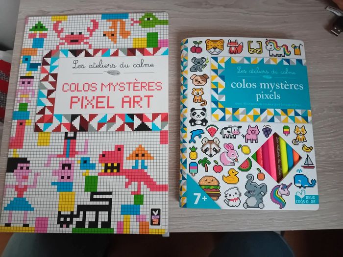 Lot de cahiers pixel art - photo numéro 2