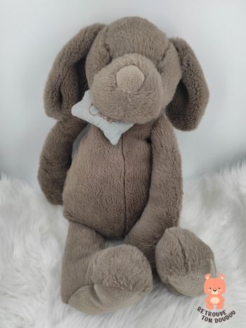 Peluche Lapin Oscar