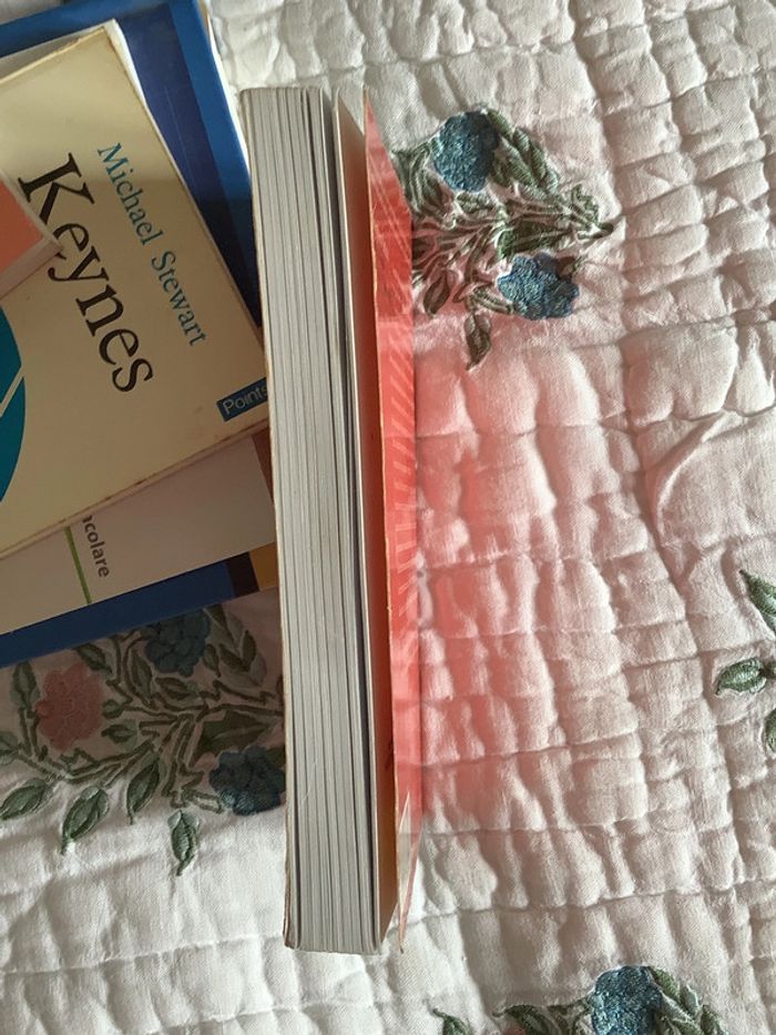 Négrologie, pourquoi l’Afrique meurt, par Stephen Smith - photo numéro 5