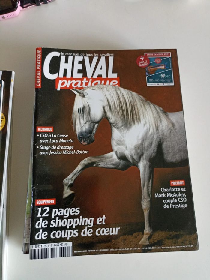Cheval pratique - photo numéro 2
