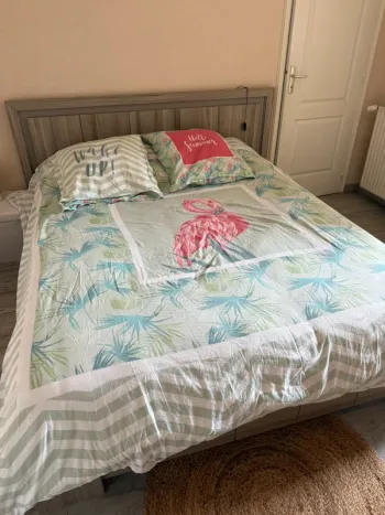 Jolie parure de lit couette 260x240 cm et 2 taies carrées flamant rose