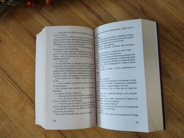 La mort en tête - Cédric Sire - photo numéro 5