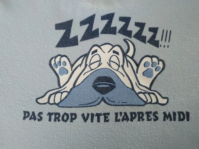 T-shirt motif chien recto/verso - photo numéro 4
