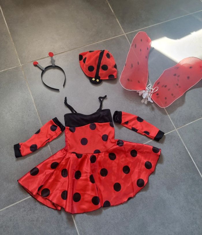 Déguisement de coccinelle