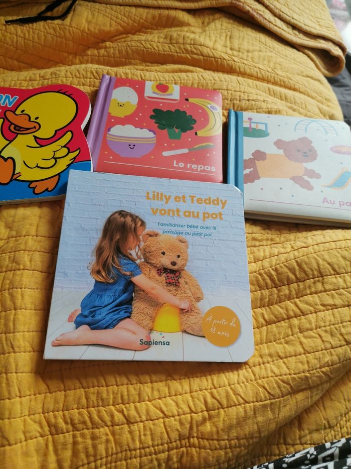 Lot de 4 livres cartonnes enfant