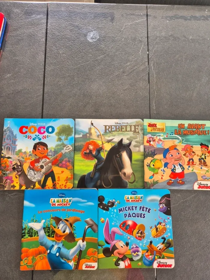 Lot de 5 Livres Disney