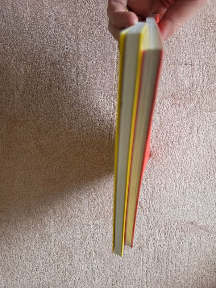 Lots de 2 livres avni - photo numéro 3