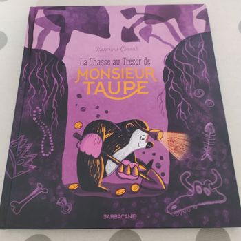 Livre enfant : La chasse au trésor de Monsieur Taupe