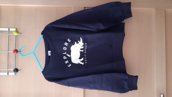 Sweat Petit Bateau
