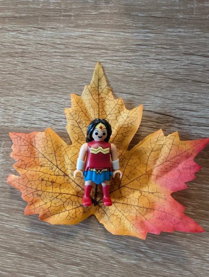 Playmobil Wonder Woman - photo numéro 2