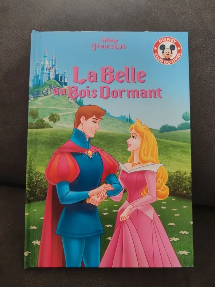 Livre la belle au bois dormant