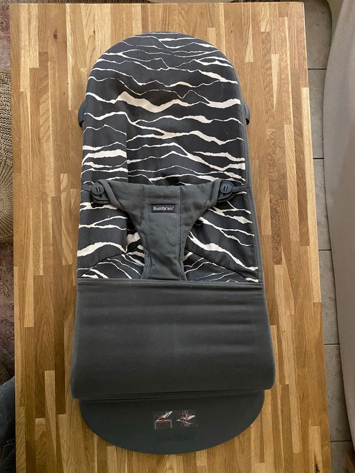 Transat BABYBJORN - photo numéro 4