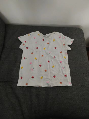 Tee shirt fruits