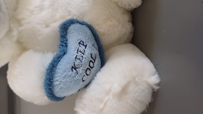 peluche ourson - photo numéro 2