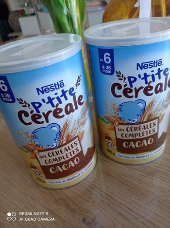 Deux Boîtes Céréales Nestlé