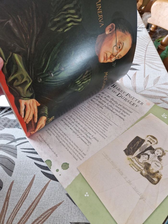 Livre harry potter a la découverte de l'histoire de la magie - photo numéro 4