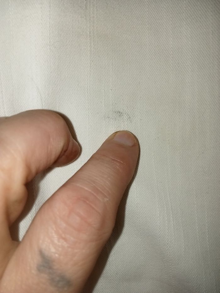 Pantacourts (-4) - photo numéro 3