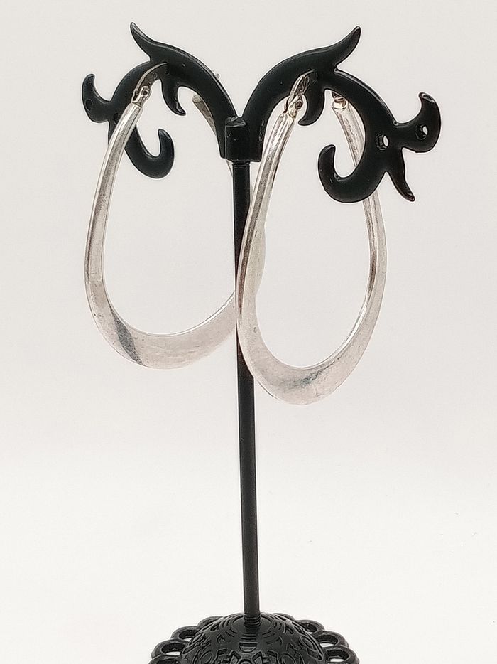 Orecchini cerchio ovalizzato argento 925