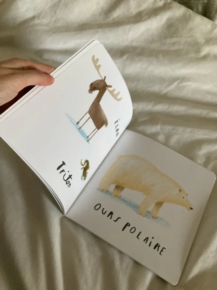 Le livre des animaux - l’école des loisirs - photo numéro 4