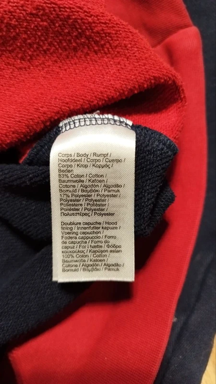 Sweat zippé Lacoste Sport tricolore – Hoodie capuche zip - photo numéro 7