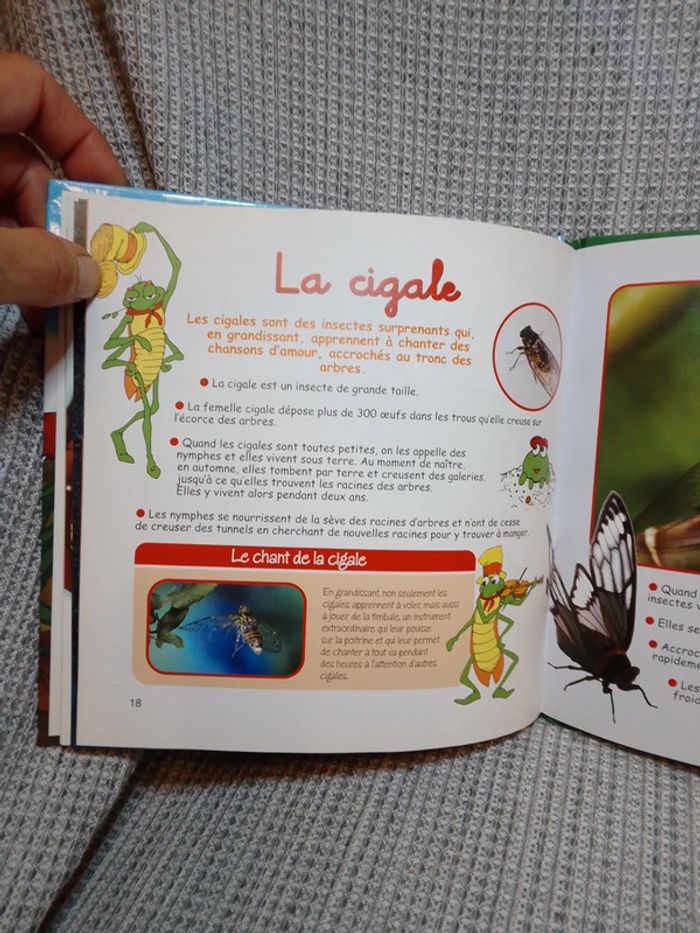 La Cigale et la Fourmi N.1 - Les Fables de la Fontaine / Ed. Altaya - photo numéro 9