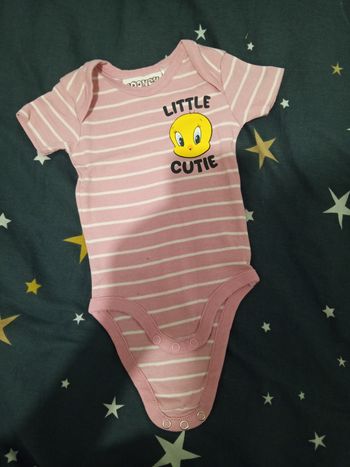 Bodie "Titi" _ 2/6 mois