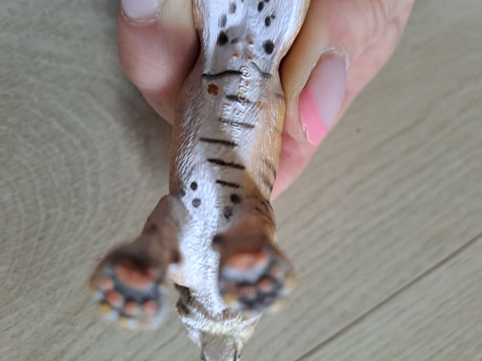 Schleich tigre - photo numéro 7