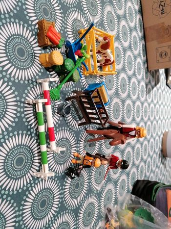 Playmobil chevaux