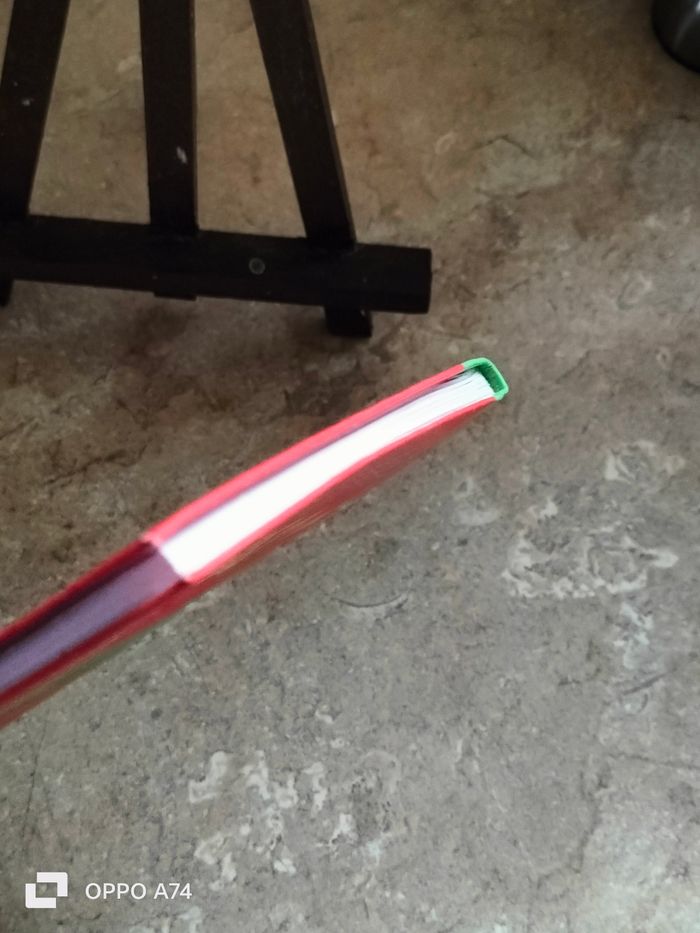 Livre Pokemon Noir et Blanc 🩷 Le problème de pikachu - photo numéro 3