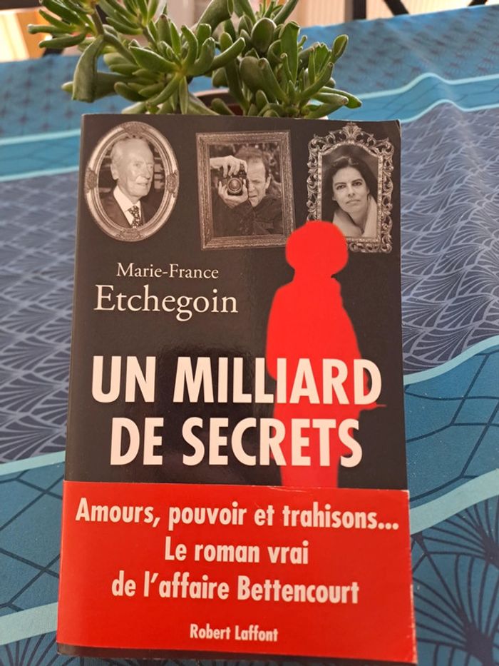 Livre Un Milliard de Secrets, Marie-France Etchegoin