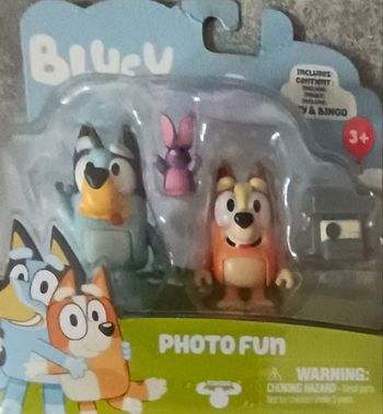 Bluey Bingo Photo Fun