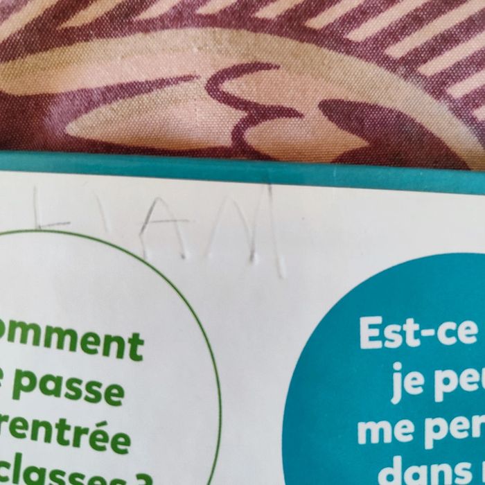 Mes p'tites questions - L'école élémentaire - photo numéro 4