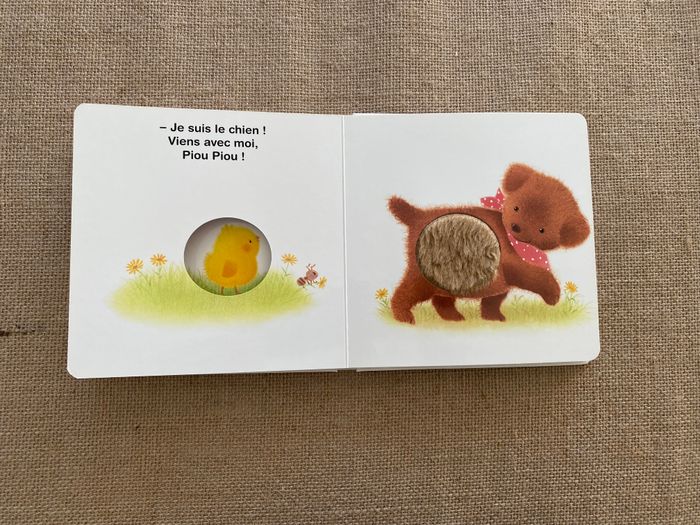 Livre Piou Piou Qui es-tu ? Bayard Jeunesse - photo numéro 6
