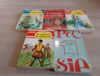 Lot de 5 livres de poche(7)