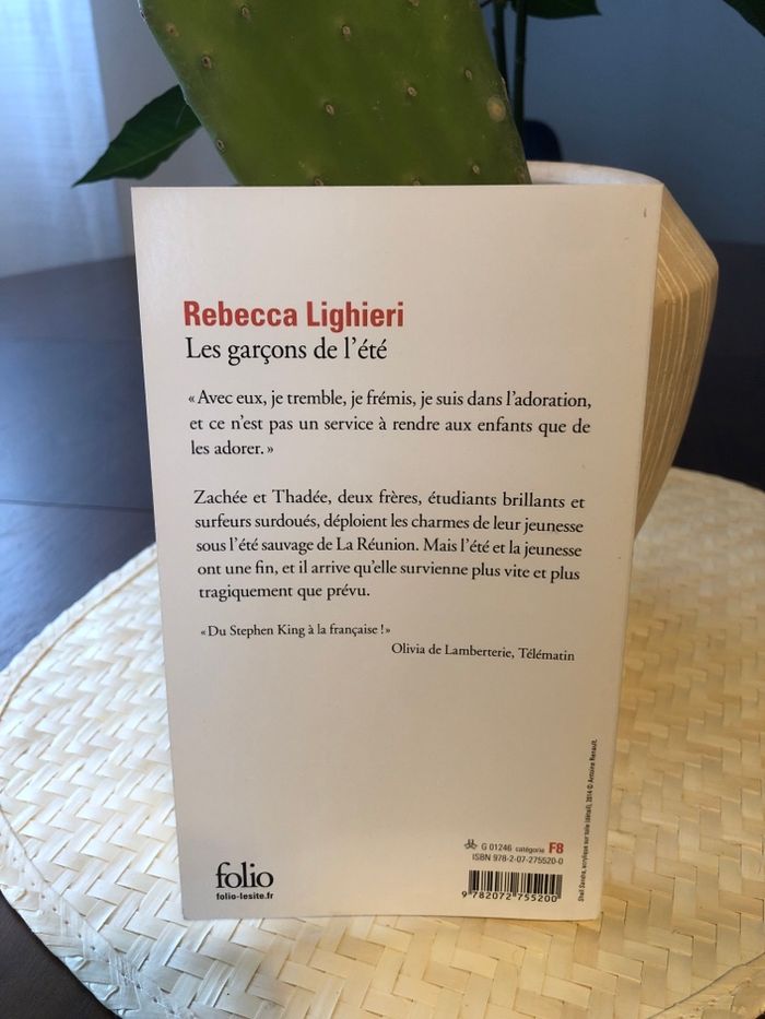 Les garçons de l’été - Rebecca Lighieri - photo numéro 2