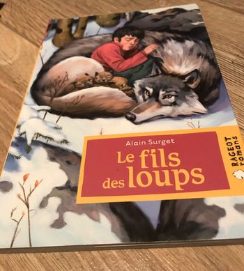 Le fils des loups d’Alain Surget