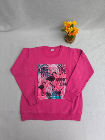 Sweat fille LJ.I.S 10 ans