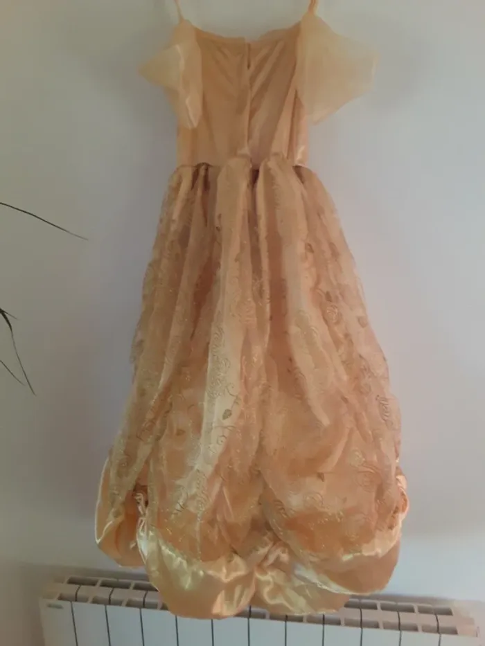 Robe Belle - photo numéro 8