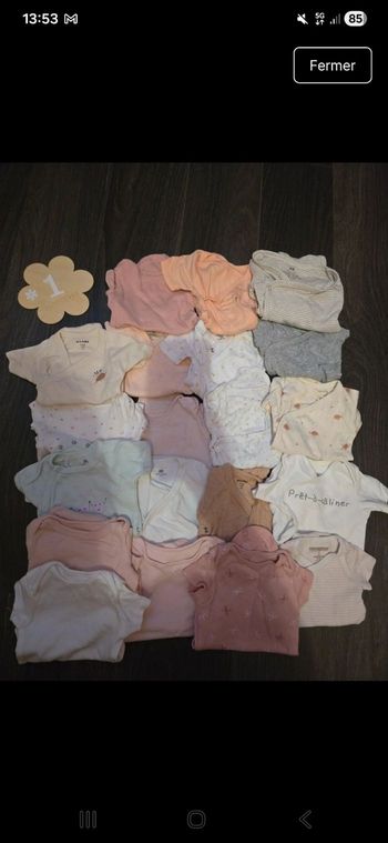 Bodies manches courtes 