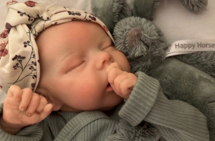 Reborn Poupée - photo numéro 4