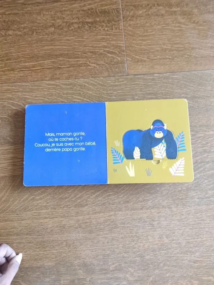Livre qui se cache derrière maman - photo numéro 15